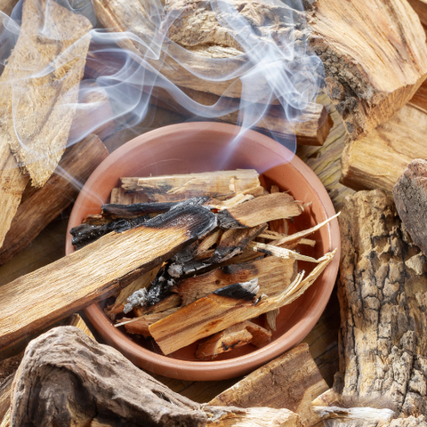 Uses and Benefits of Palo Santo