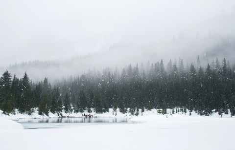 Creating a Winter Solstice Ritual