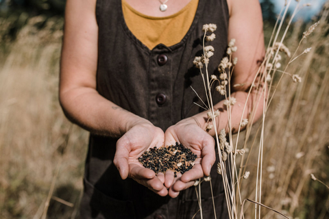 Herbs to Support Your Root Chakra