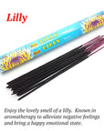 Harmony Incense Sticks - Assorted Fragrances