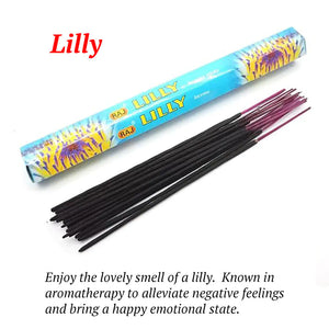 Harmony Incense Sticks - Assorted Fragrances