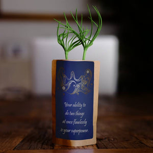 Gemini Zodiac Tree Growing Kit