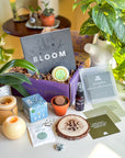 Monthly Spiritual Subscription Box 2025 | Goddess Provisions