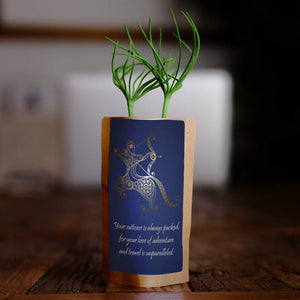 Sagittarius Zodiac Tree Growing Kit