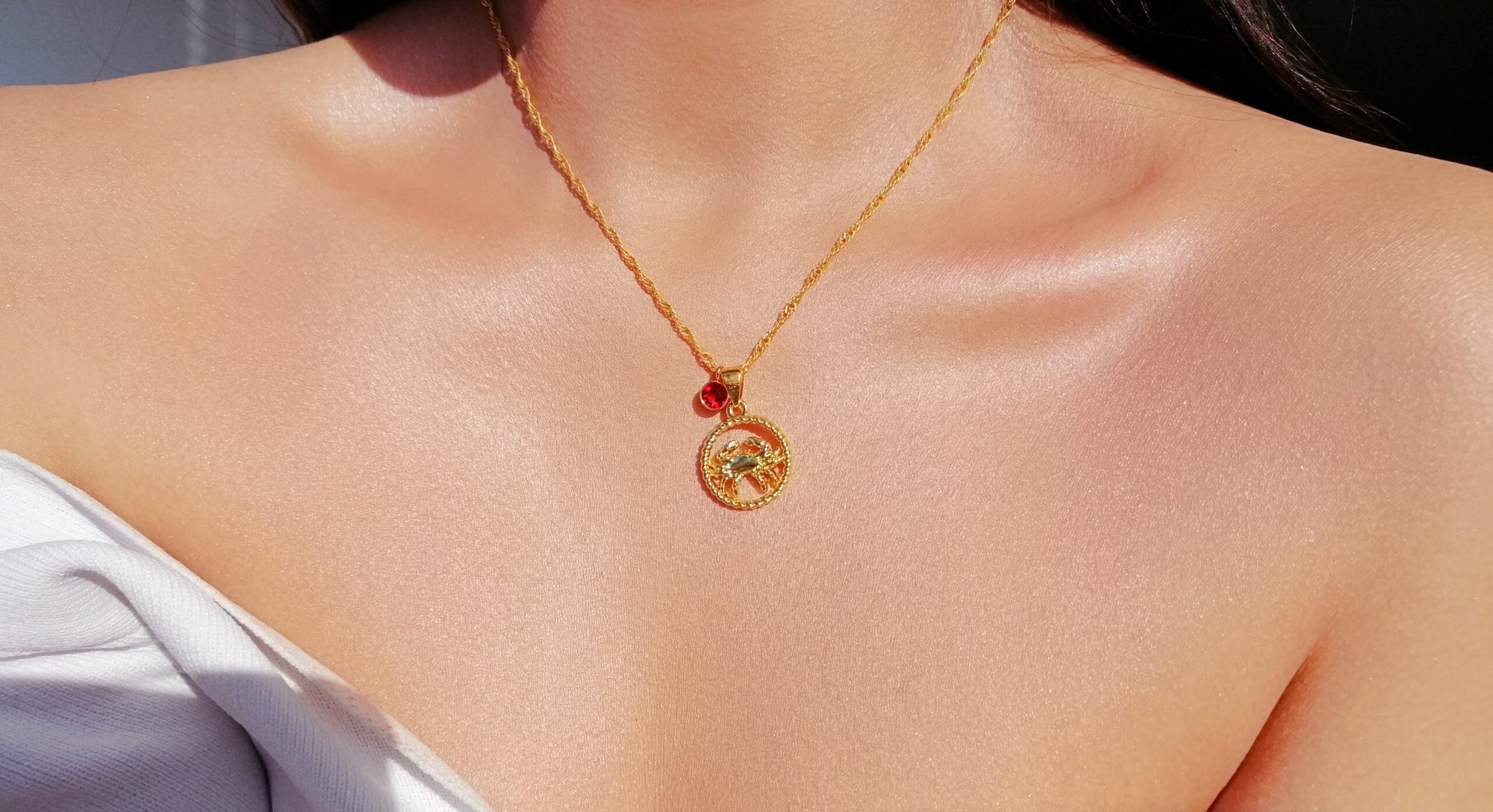 18K Zodiac Sign &amp; Birthstone Necklace