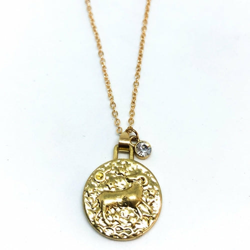 Double Sided Zodiac Coin Necklace