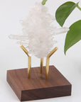 Wooden Crystal Display Stand