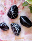 Tumbled Snowflake Obsidian available at Goddess Provisions