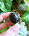 Black Lava Stone Thinking Egg by ORIJIN available at Goddess Provisions